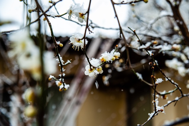 节奏留白与