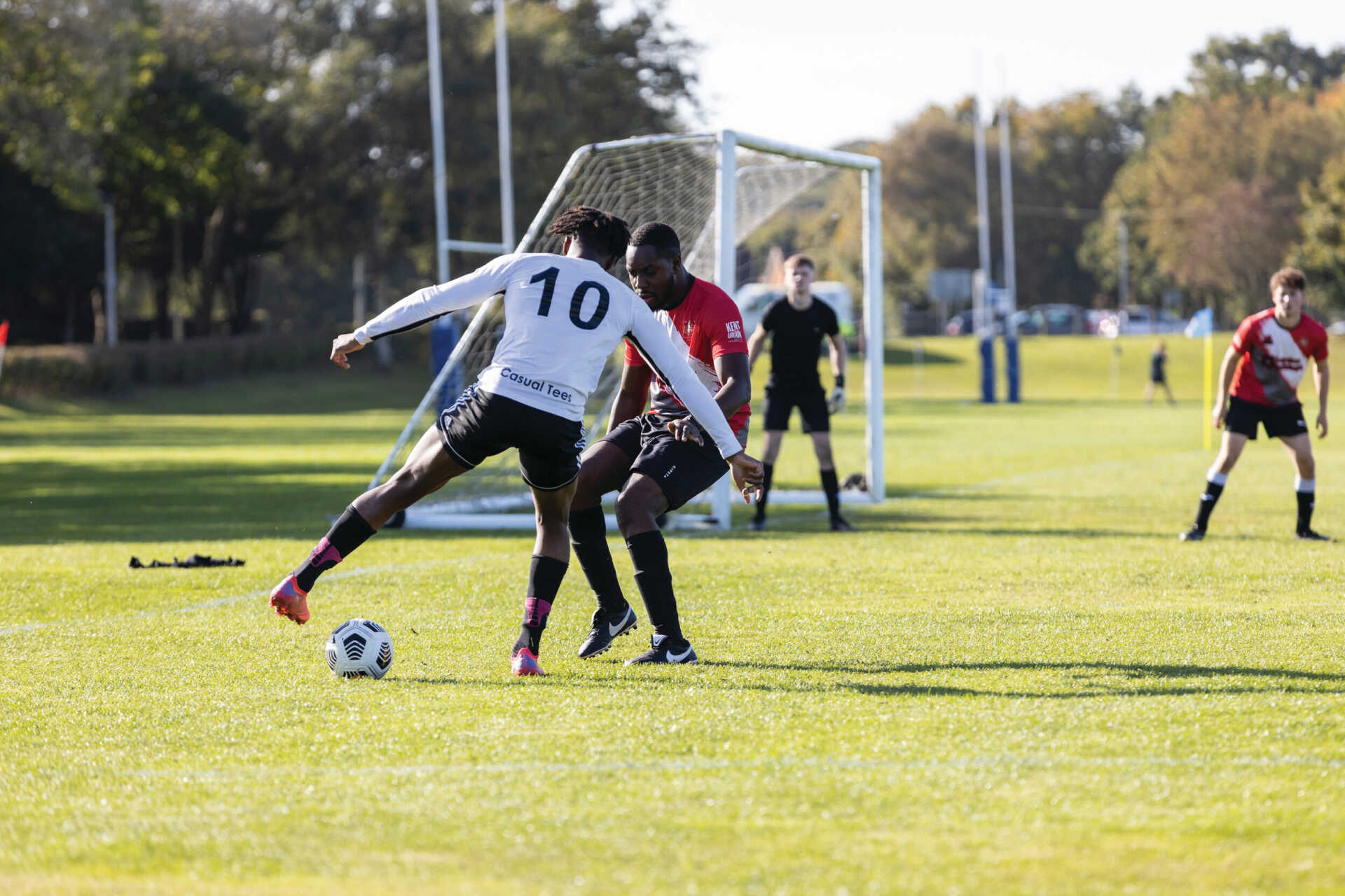 无疑为全球 无疑为全球